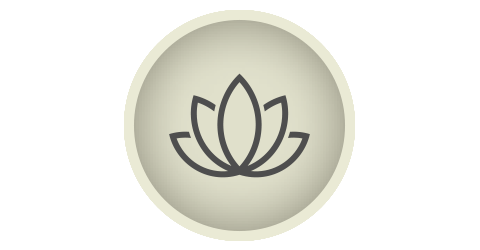 momentum spa icon